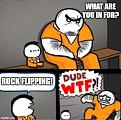 rock-flipping.jpg